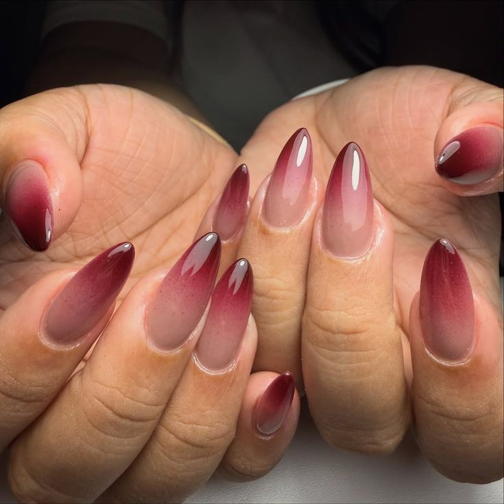 Midnight wine ombre