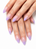 lavender Ombre