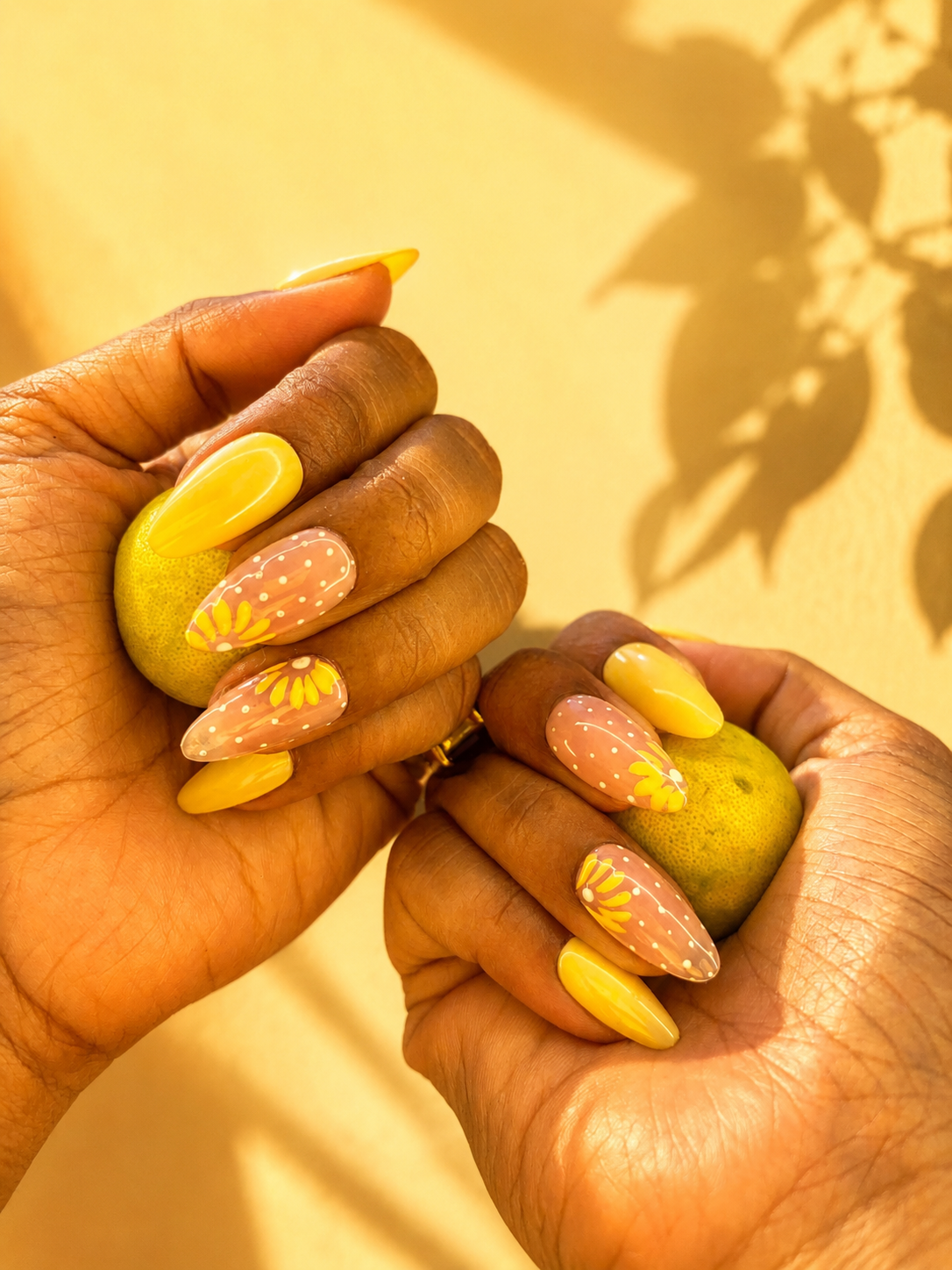 Lemon Daisy Dream